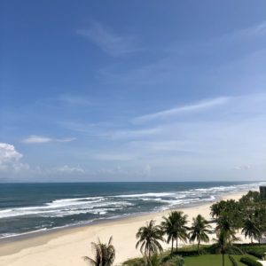 Five things you must do in Danang - Danang beach and trees